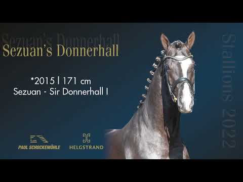 Sezuan's Donnerhall - Dressurkollektion 2022 Schockemöhle & Helgstrand (DEU)