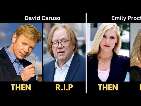 CSI: Miami Cast: Then and Now 2025| What Happened to Them?