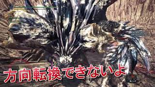 【MHW:IB】ここ3か月ぐらいのモンハン名(迷)場面集
