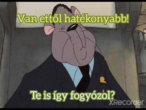 Ltl fogyás vélemények