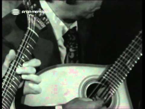 João Ferreira Rosa - Roseira brava