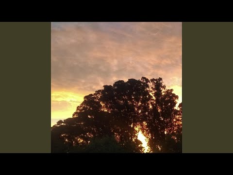 Steppers Gm F (Reggae Backing Track)