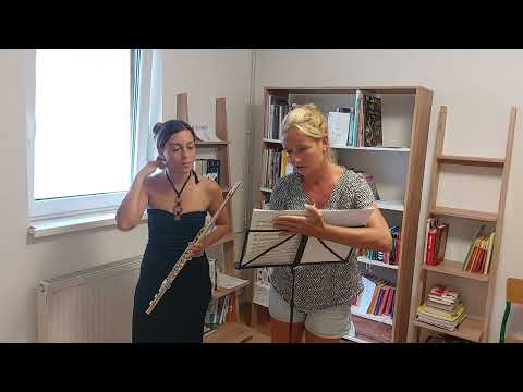 VISEGRAD MUSIC YOUTH ACADEMY 2023