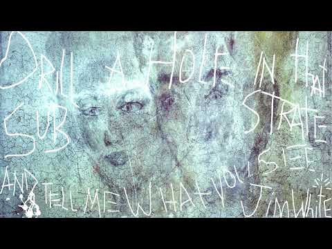Bluebird - Jim White