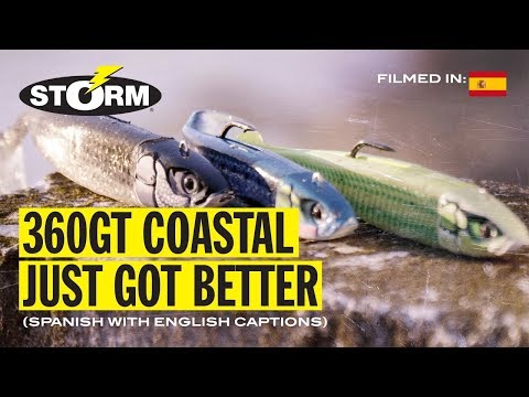 Storm 360GT Coastal Biscay Minnow 9cm 15g FT
