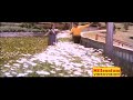 Masam Madhavamaasam Aranjanam 1982