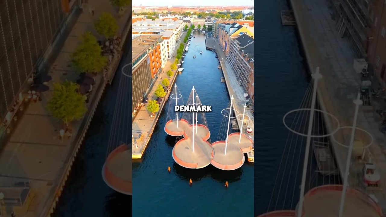 The Circle Birdge ⭕️