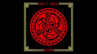 Gov't Mule - Dose (1998) Full Album