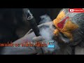 Aadhi Aadhi Raat Maine Whatsapp Status For Mahakal 30 Sec Whatsapp Status