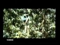 Pensal Poth Naalu Ultimate Mp4