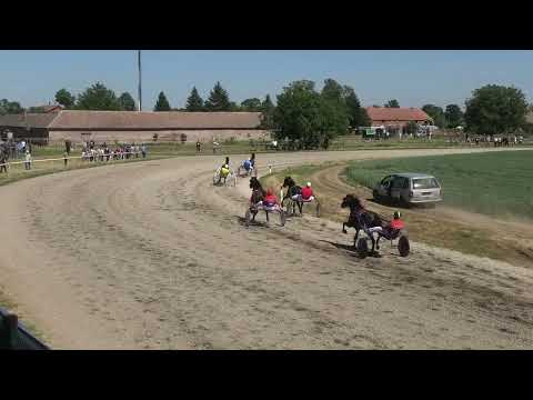 Trka "Sveti Nikola" 15.5.2022. Shirley Horn A.T - Branko Skenderovic