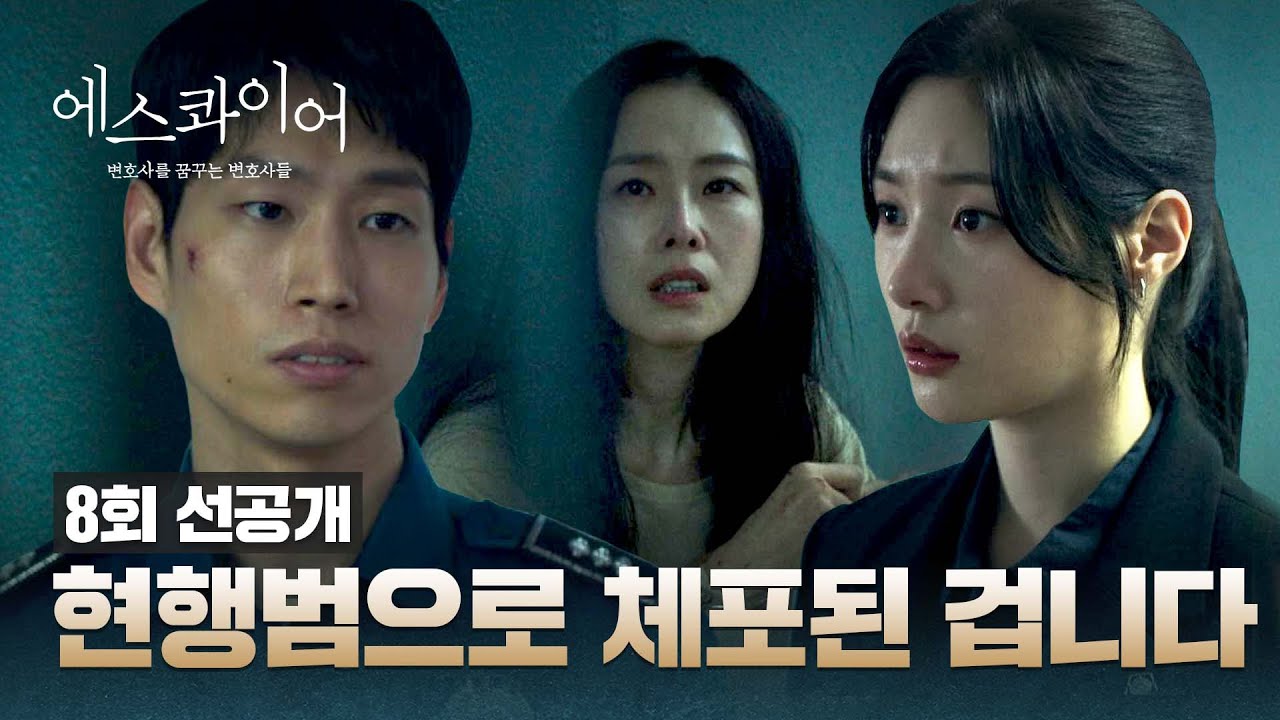 《夢想成為律師的律師們》分集劇情-第8集