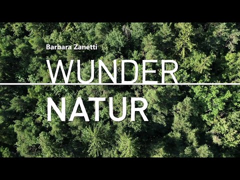 Barbara Zanetti - WUNDER NATUR (Offizielles Musikvideo)
