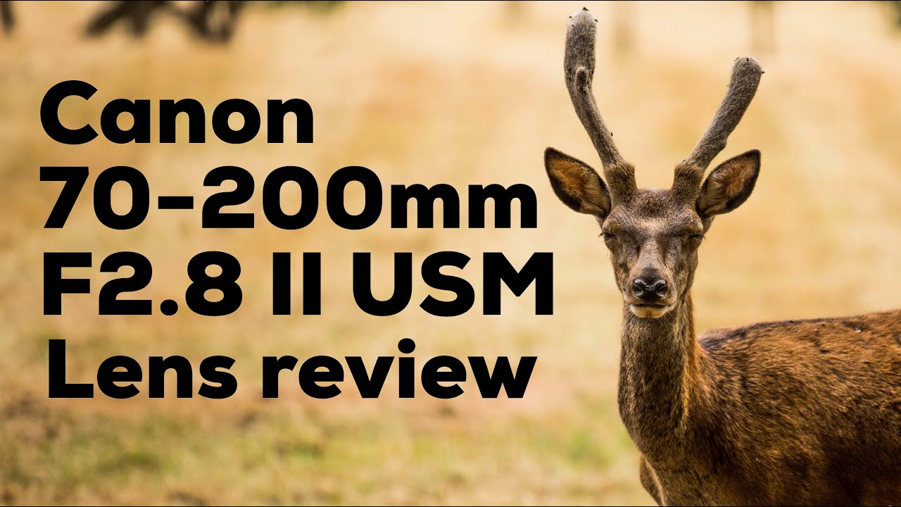 Canon 70-200mm f/2.8 L IS II USM Real world review - with sample photos!