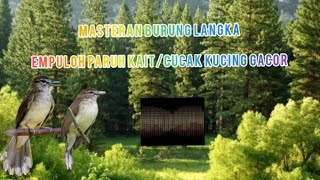 Download lagu BURUNG LANGKA EMPULOH PARUH KAIT GACOR MASTERAN MP3 AUDIO mp3