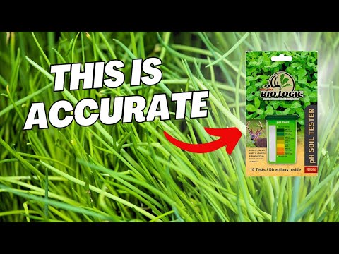 This DIY Soil Test Is Pretty Accurate