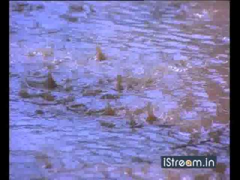 Aaradhana: 'Are yemaindhi...' song!