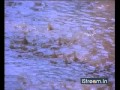 Aaradhana Are Yemaindhi Song