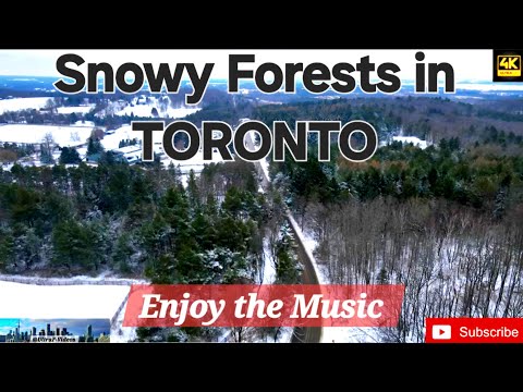 "Toronto's Snowy Forests from ABOVE with Exciting Workout Music " #viral #videoviral #music