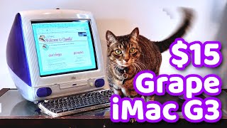 I scored a $15 grape iMac G3 - the original tray loading iMac!