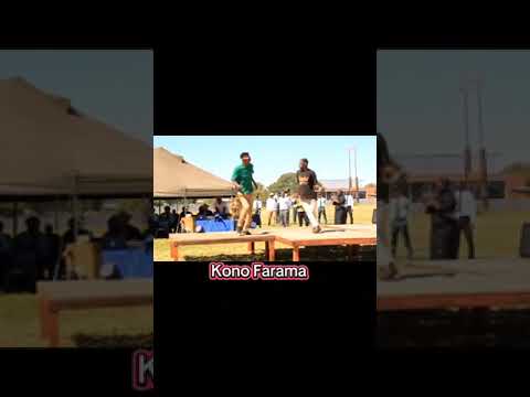 Zhondie performing with Kahili in Rundu Sports Stadium