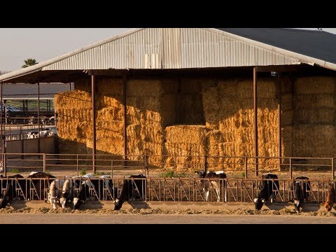How To Decrease The Risk of Hay Bale Fires