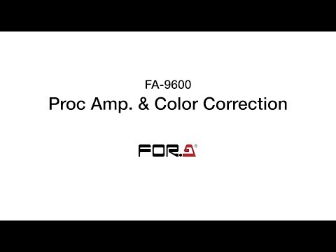 Proc Amp./Color Correction