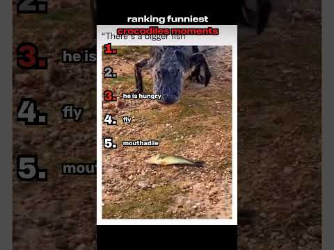 ranking funniest ﻿crocodiles moments #funny #ranking #crocodile