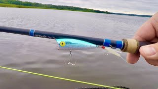 I Can't Believe THIS Fish Ate THIS Lure!