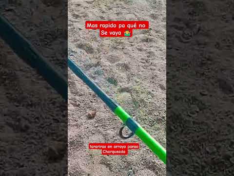 Pesca y camping " Arroyo Parao" LA CHARQUEADA Treinta y tres #uruguay  #pesca #peces #lineadepesca