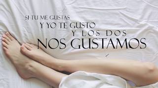 Video Al Grano (Letra) de Yomil y El Dany