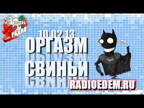 Оргазм свиньи от 10.02.2013