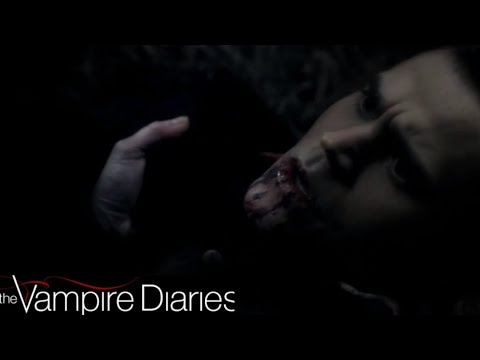 TVD 2x15 - Stefan & Lexi Flashback / John shows up to the Dinner Party