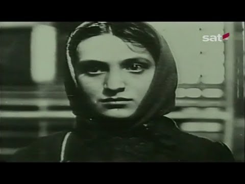 Crna Gora i velike sile – Sjedinjene Američke Države