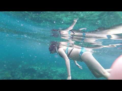 Bahamas snorkeling 2015!