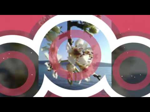 Svibanjska nocica💗kaja kaja karaoke