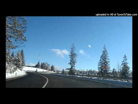Bearweasel - Button Down The Moose (Echologist dub)