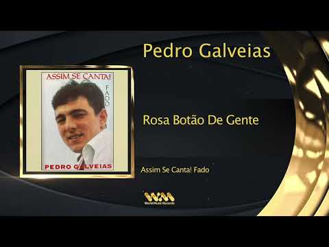 Pedro Galveias - Rosa Botão De Gente