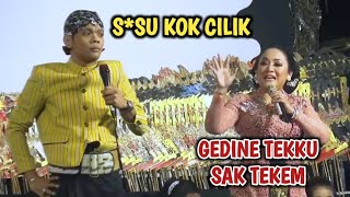 Download lagu WIRANG !!! PERCIL FEAT LUSI BRAHMAN TERBARU 2023 mp3