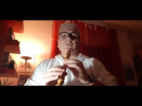 #didattica Tutorial N.12 Flauto Dolce e Chiarimenti. Tecnica e metodologia.