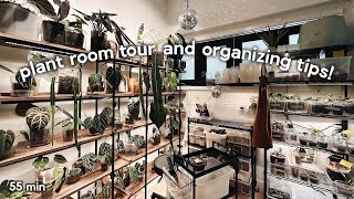 a tour of my dream plant room: organized, styled and functional 👌🏼