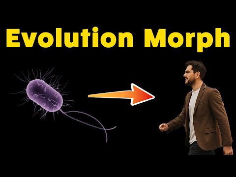 HUMAN Evolution from Bacteria to Fish to You! (Edu Song Morph with lyrics)