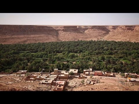 World's largest oasis threatened by climate change
