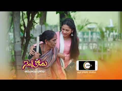 shakuni telugu full movie in zee telugu shakuni telugu full movie in zee telugu