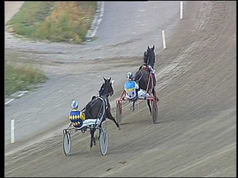 Trotto 25/06/2016 - 3° prova di qualifica