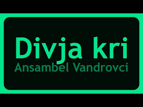 Ansambel Vandrovci - Divja kri (Karaoke)
