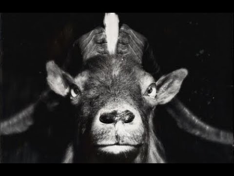 West Country Tales The Poacher