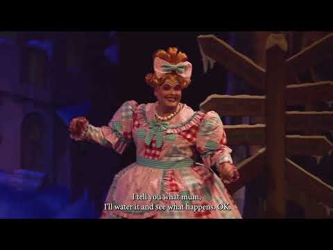 Mother Goose - Full Pantomime - Goole 2021