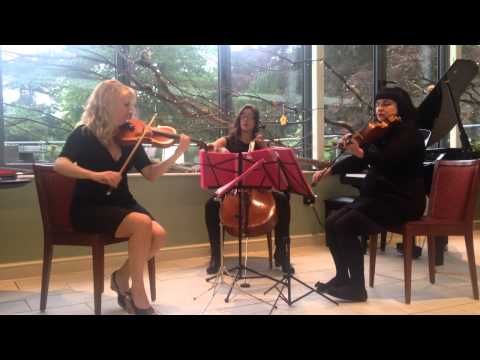 Aurora Strings - A Thousand Years (Christina Perri)