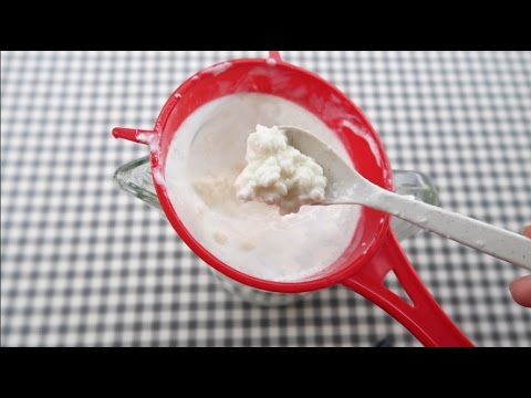 download lagu mp3 mp4 Kefir Drink Singapore, download lagu Kefir Drink Singapore gratis, unduh video klip Kefir Drink Singapore